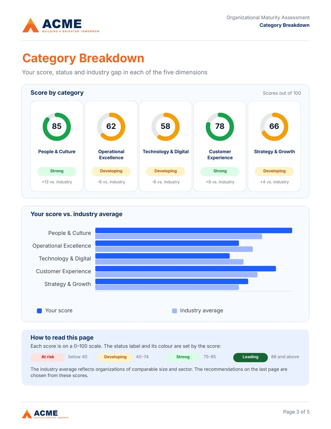 Category breakdown page of the Acme Co. sample report, with each category's score, bar and status.